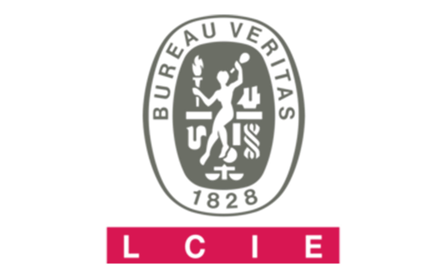 bureau veritas lcie